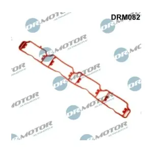 DRM082 LIZARTE