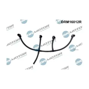 DRM16012R LIZARTE
