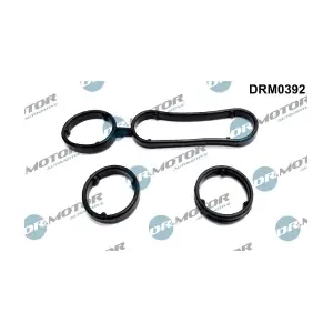 DRM0392 LIZARTE