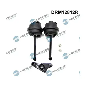 DRM12812R LIZARTE
