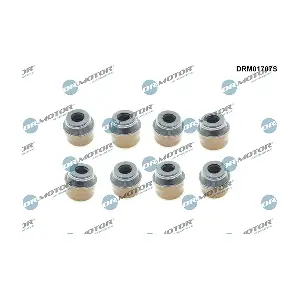 DRM01707S LIZARTE