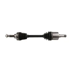 218293 LIZARTE