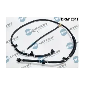 DRM12011 LIZARTE