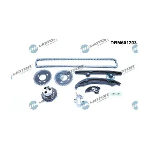 LIZARTE DRM601203