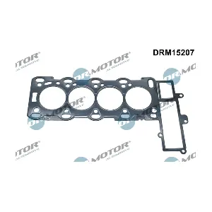 DRM15207 LIZARTE