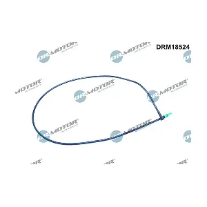 DRM18524 LIZARTE