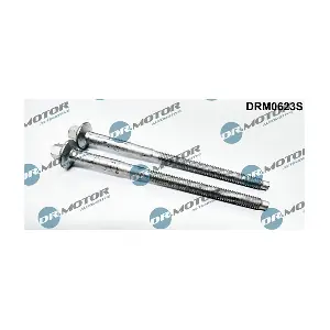 DRM0623S LIZARTE