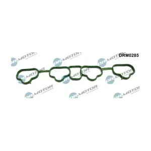DRM0285 LIZARTE