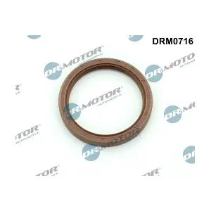DRM0716 LIZARTE
