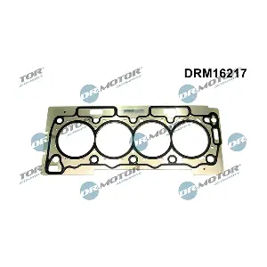 DRM16217 LIZARTE