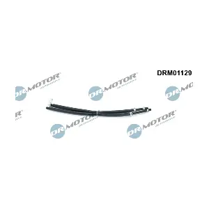 DRM01129 LIZARTE