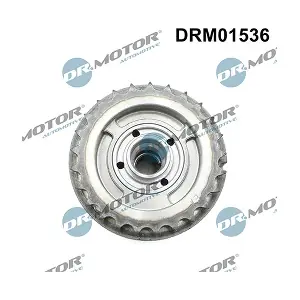 DRM01536 LIZARTE