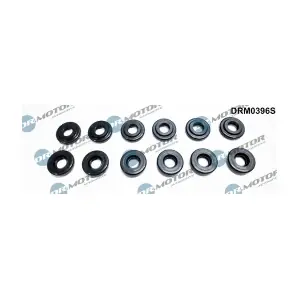 DRM0396S LIZARTE