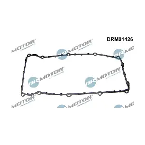 DRM01426 LIZARTE