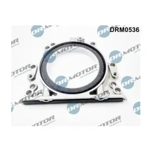 DRM0536 LIZARTE