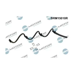 DRM15010R LIZARTE
