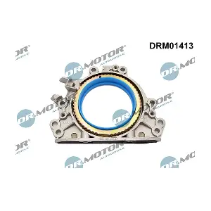 DRM01413 LIZARTE