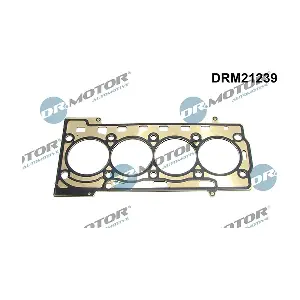 DRM21239 LIZARTE