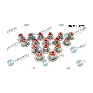 DRM0582S LIZARTE