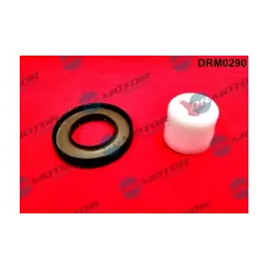 DRM0290 LIZARTE