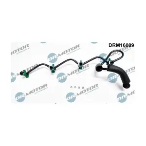 DRM16009 LIZARTE