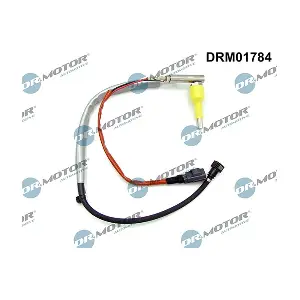 DRM01784 LIZARTE