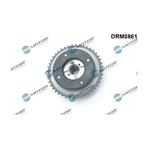 DRM0861 LIZARTE