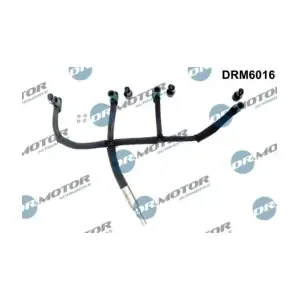DRM6016 LIZARTE