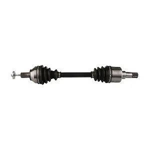 LIZARTE DS0364