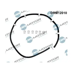 DRM12010 LIZARTE