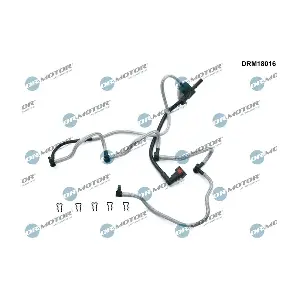 DRM18016 LIZARTE