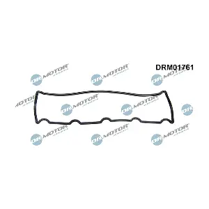 DRM01761 LIZARTE
