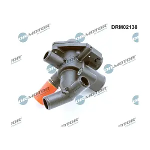 DRM02138 LIZARTE