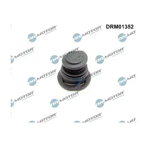 LIZARTE DRM01352