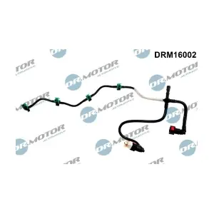 DRM16002 LIZARTE