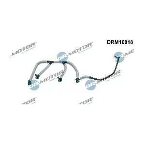 DRM16018 LIZARTE