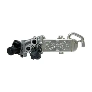 LIZARTE EGR027
