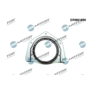 DRM01690 LIZARTE