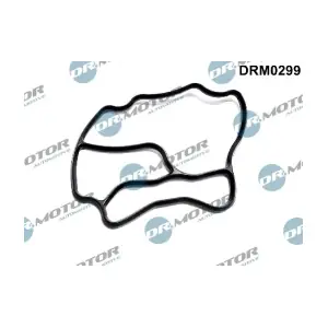 DRM0299 LIZARTE