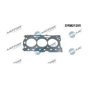 DRM21205 LIZARTE