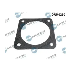 DRM0260 LIZARTE
