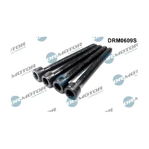 DRM0609S LIZARTE