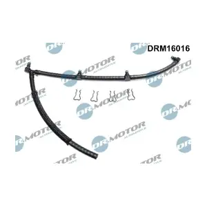 DRM16016 LIZARTE