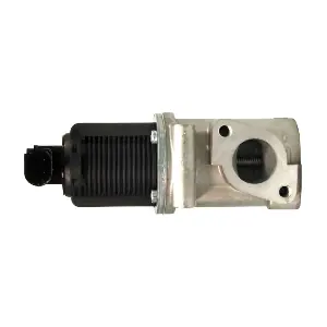LIZARTE EGR002
