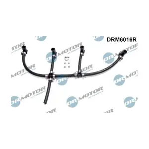 DRM6016R LIZARTE