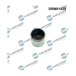 DRM01829 LIZARTE