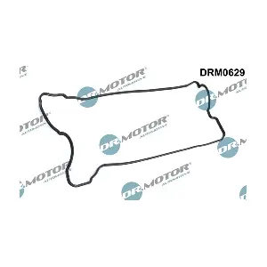DRM0629 LIZARTE