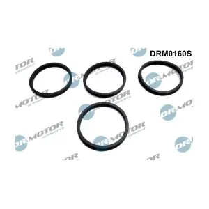 DRM0160S LIZARTE
