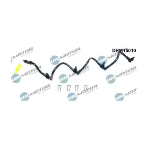 DRM15010 LIZARTE