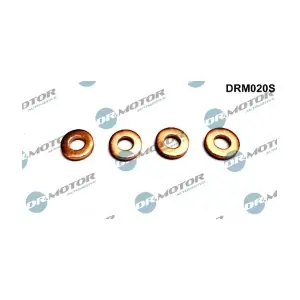 DRM020S LIZARTE